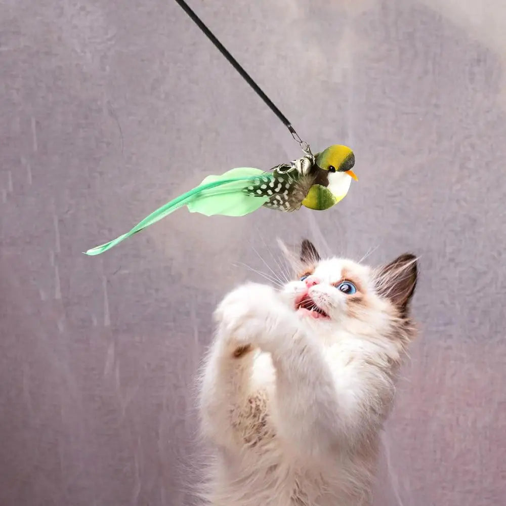 Cat Feather Bird Toy