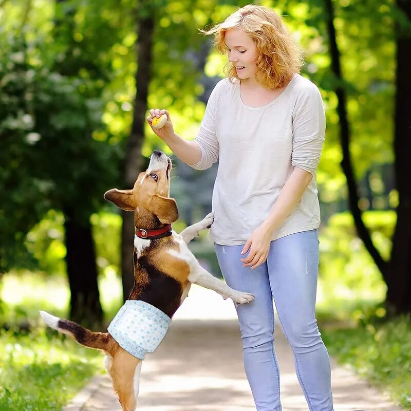 10PCS Super Absorbent Pet Diapers Dog Physiological Pants Leakproof Dog Diapers Disposable Nappies for Dogs Cats Male Female